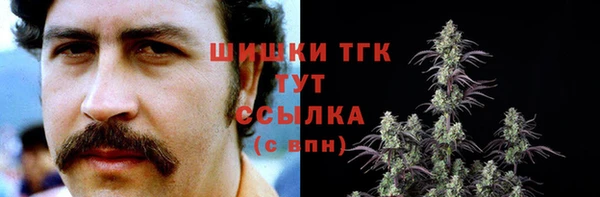 прущие грибы Архангельск