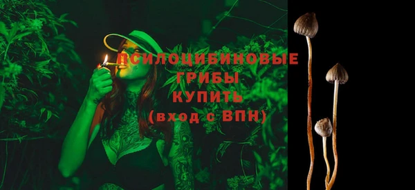 mdpv Приозерск